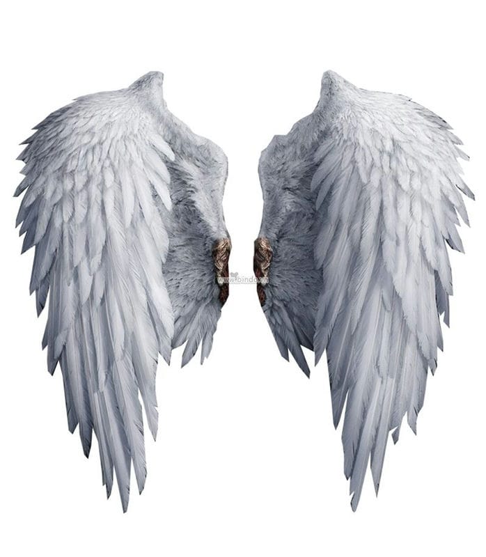 Картинки крылья ангела (100 фото) #23