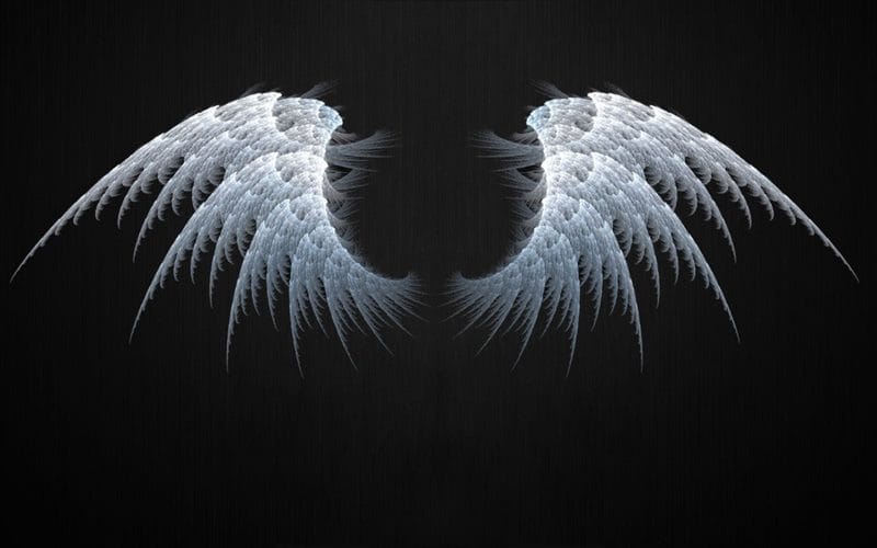 Картинки крылья ангела (100 фото) #63