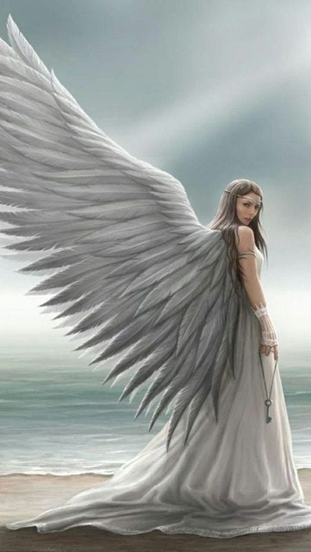 Картинки крылья ангела (100 фото) #71