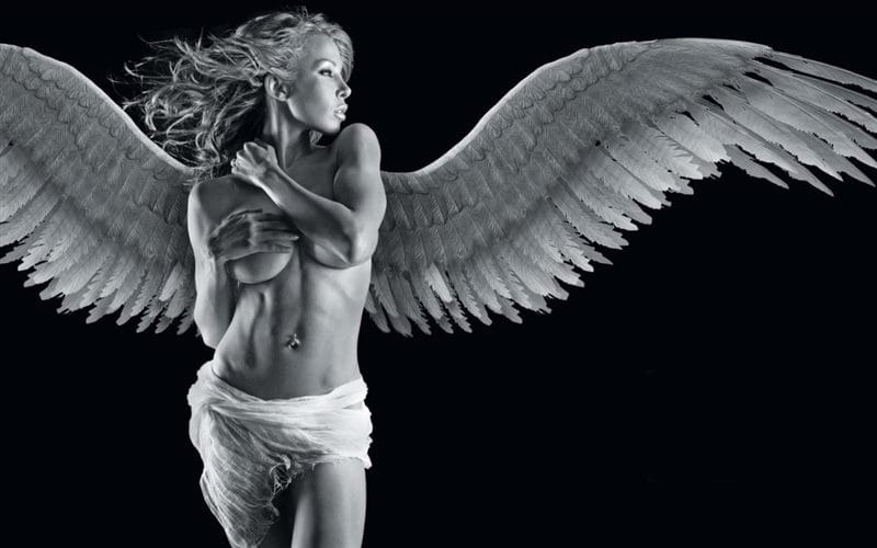 Картинки крылья ангела (100 фото) #52