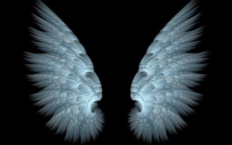 Картинки крылья ангела (100 фото) #65