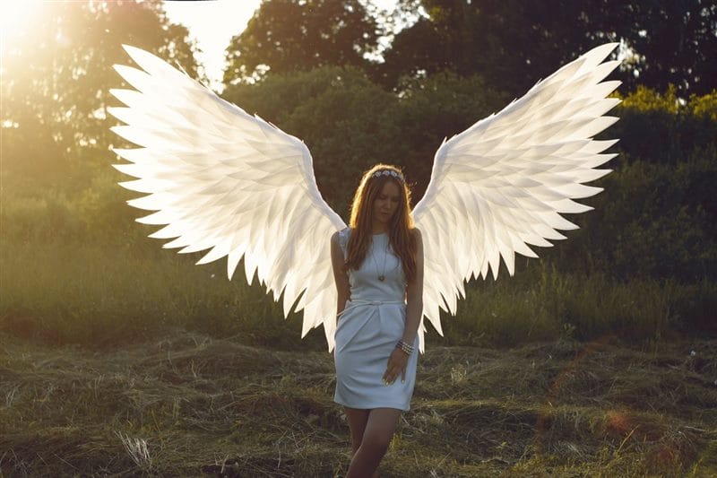 Картинки крылья ангела (100 фото) #25
