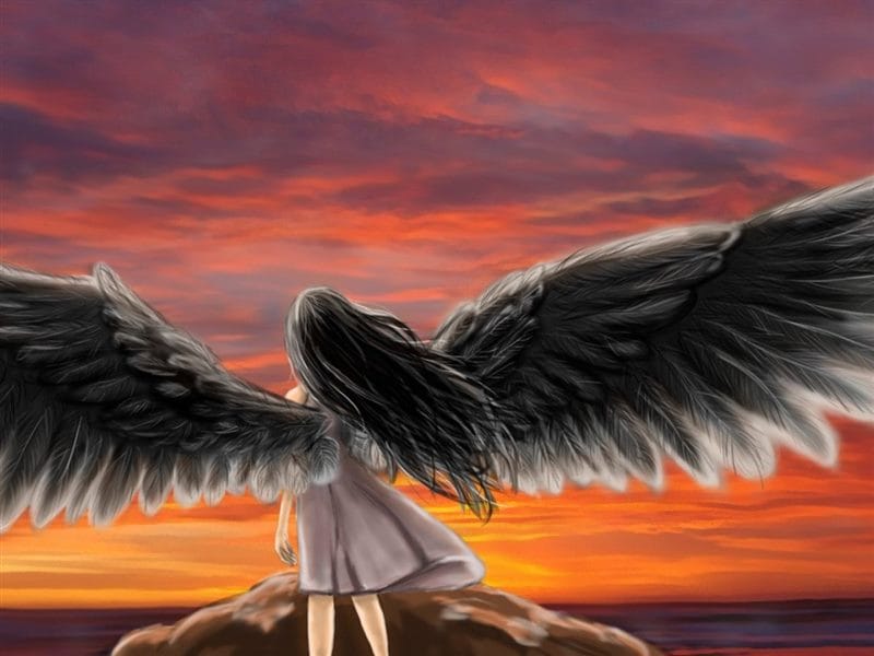 Картинки крылья ангела (100 фото) #38
