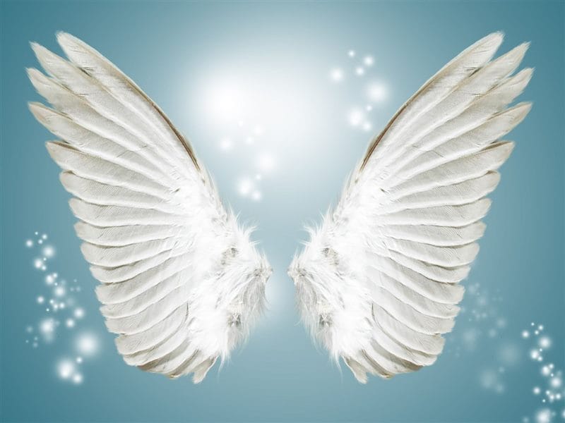 Картинки крылья ангела (100 фото) #59