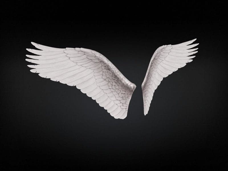 Картинки крылья ангела (100 фото) #90
