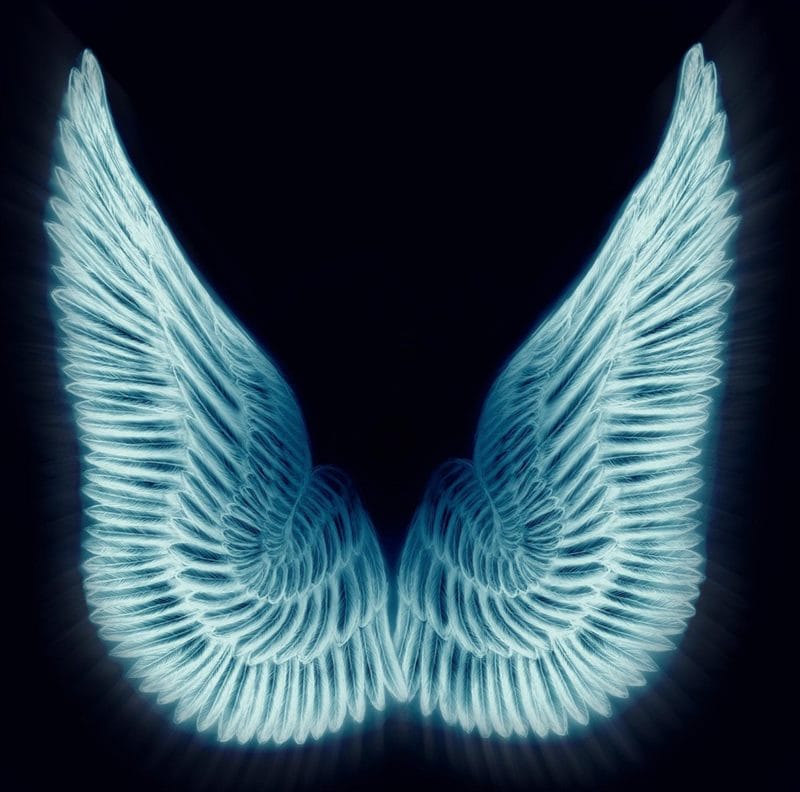 Картинки крылья ангела (100 фото) #15