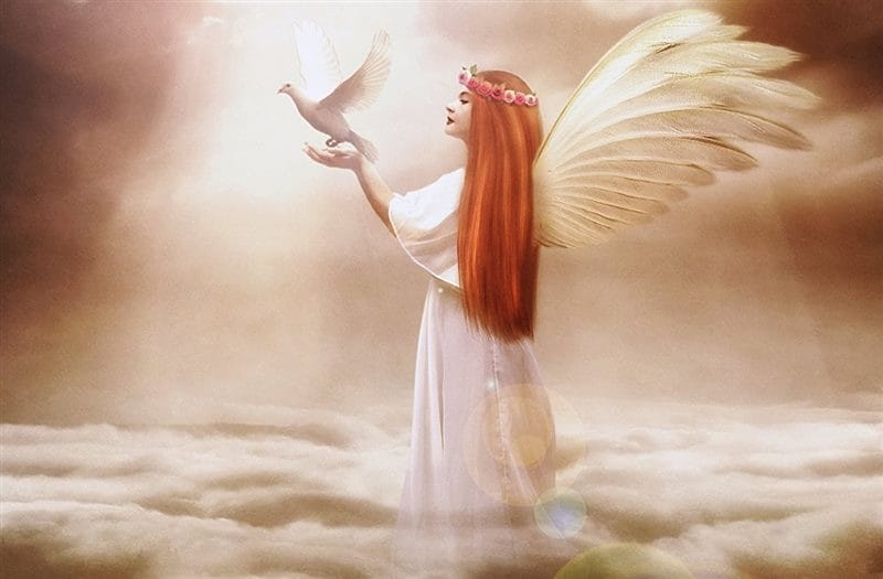 Картинки крылья ангела (100 фото) #46