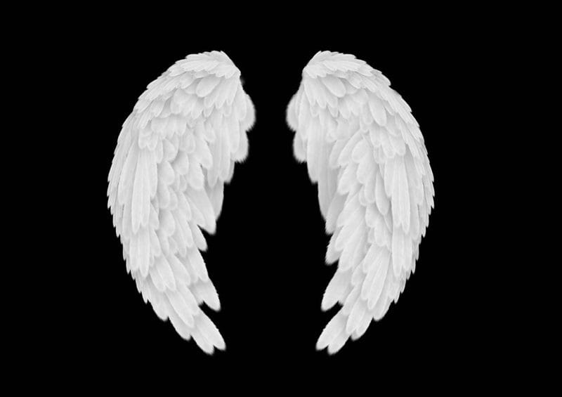 Картинки крылья ангела (100 фото) #94