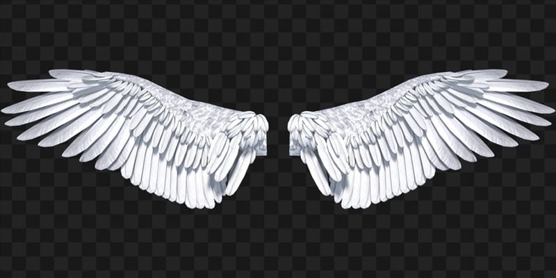 Картинки крылья ангела (100 фото) #79