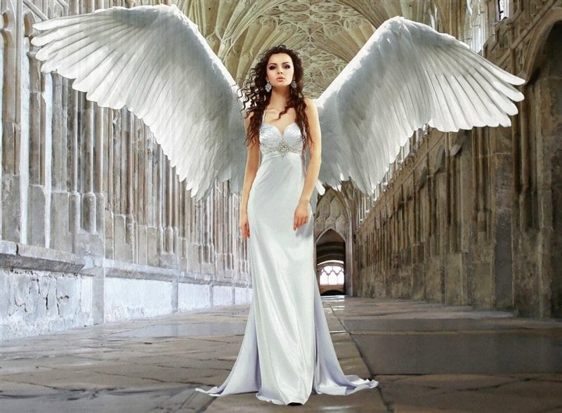 Картинки крылья ангела (100 фото) #10