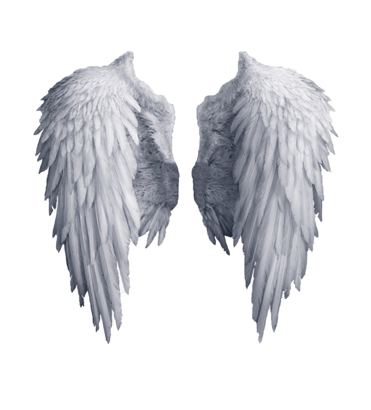 Картинки крылья ангела (100 фото) #97
