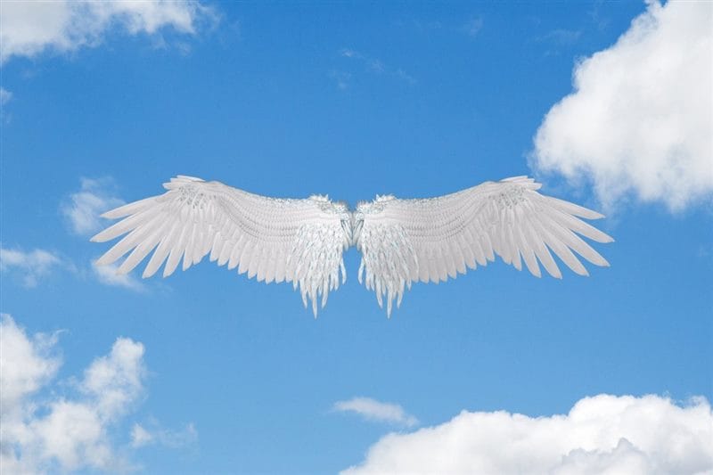 Картинки крылья ангела (100 фото) #80
