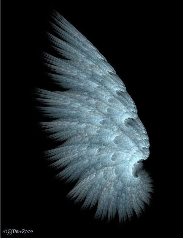Картинки крылья ангела (100 фото) #14