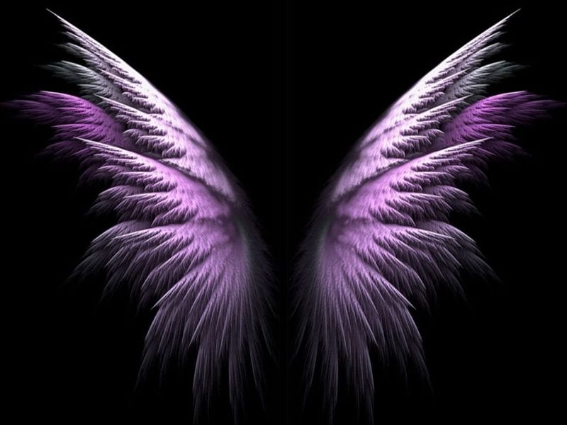 Картинки крылья ангела (100 фото) #50