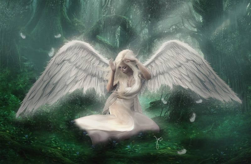 Картинки крылья ангела (100 фото) #30