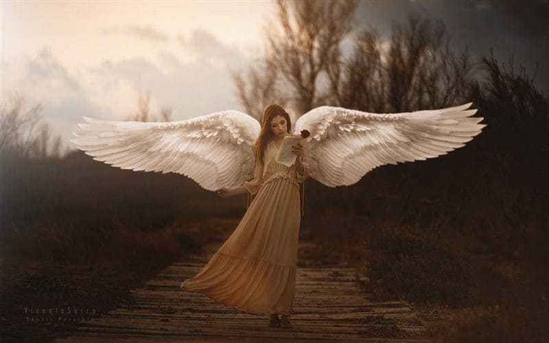 Картинки крылья ангела (100 фото) #81