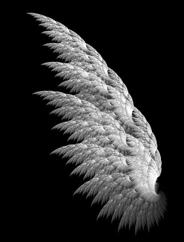 Картинки крылья ангела (100 фото) #98