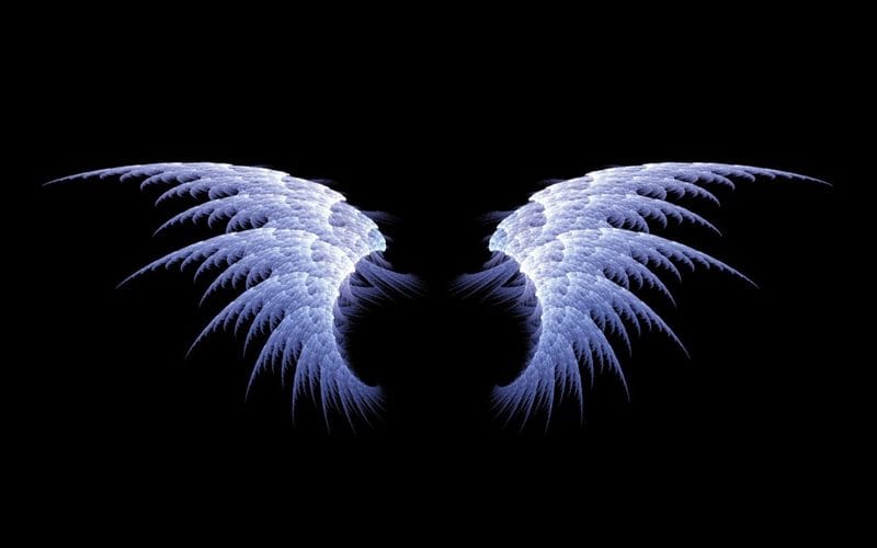 Картинки крылья ангела (100 фото) #89