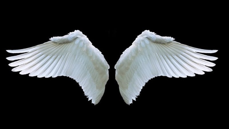 Картинки крылья ангела (100 фото) #91