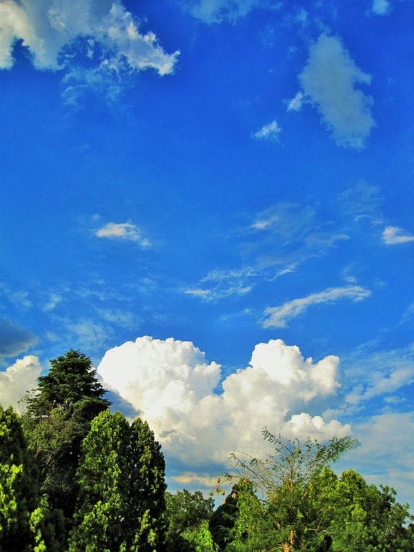 Картинки облачное небо (100 фото) #100