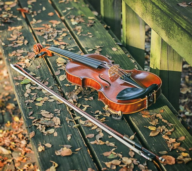 Картинки скрипки (100 фото) #100