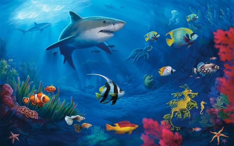 Картинки подводный мир (100 фото) #81