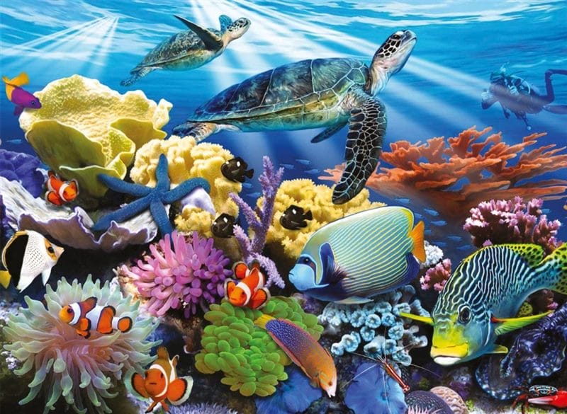 Картинки подводный мир (100 фото) #100