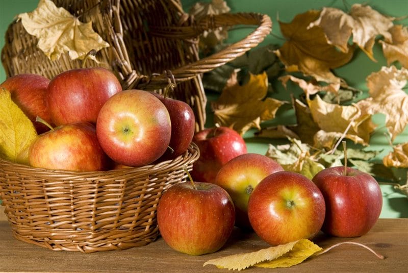 Картинки осенние яблоки (90 фото) #31