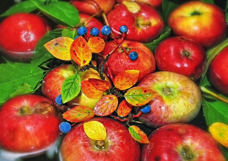 Картинки осенние яблоки (90 фото) #15