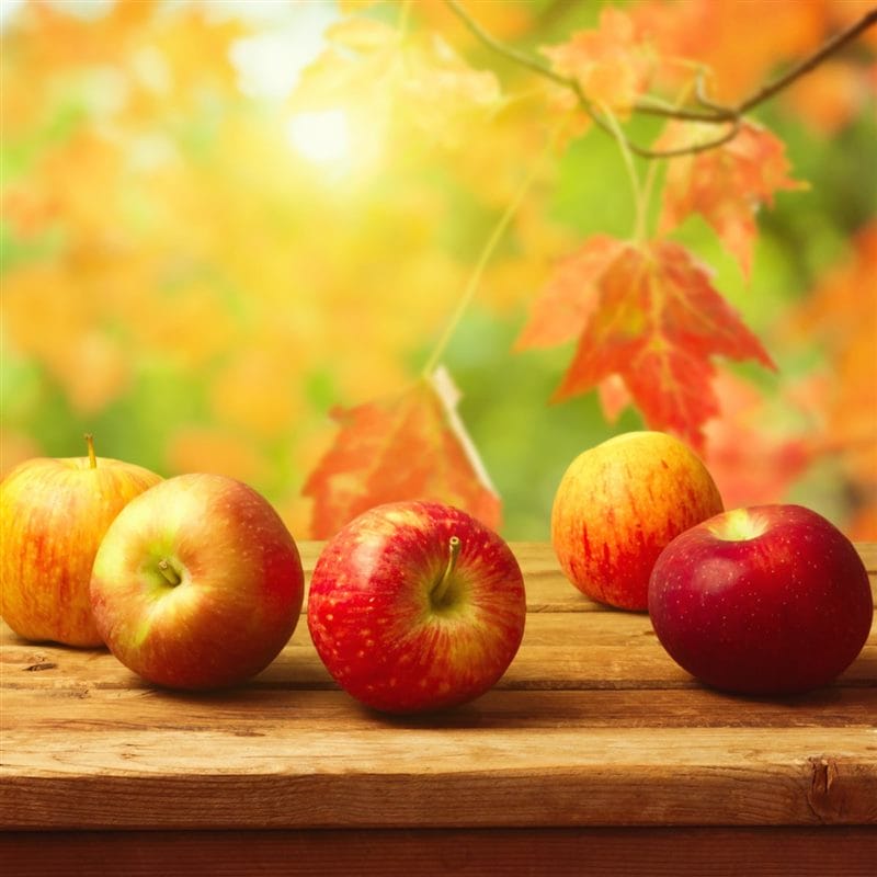 Картинки осенние яблоки (90 фото) #53