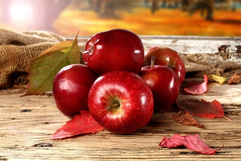 Картинки осенние яблоки (90 фото) #44