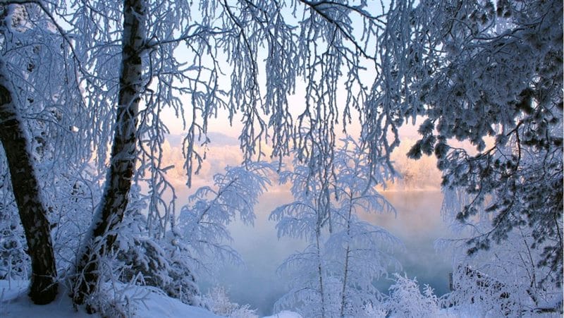 Зимние картинки (100 фото) #18