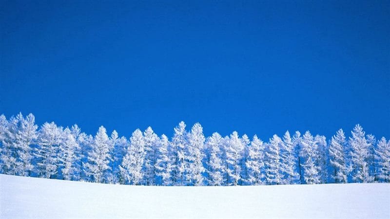 Зимние картинки (100 фото) #83