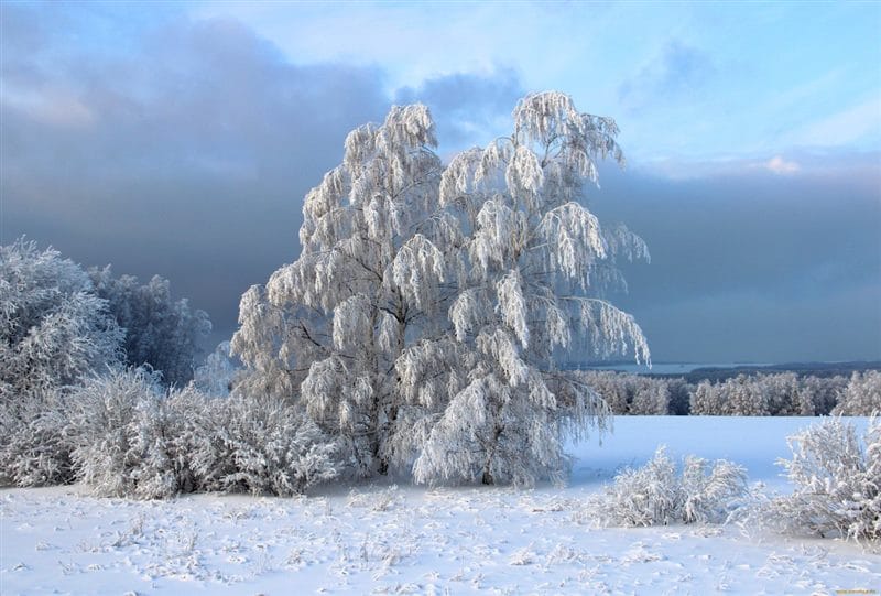 Зимние картинки (100 фото) #35
