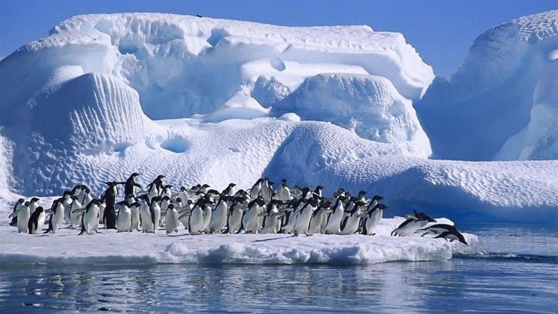 Картинки Антарктида (70 фото) #1