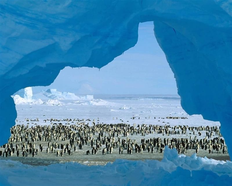 Картинки Антарктида (70 фото) #20
