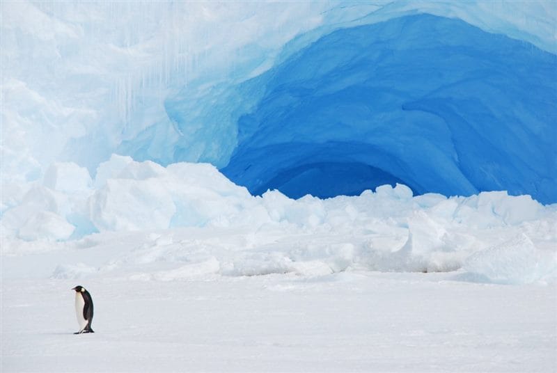 Картинки Антарктида (70 фото) #62