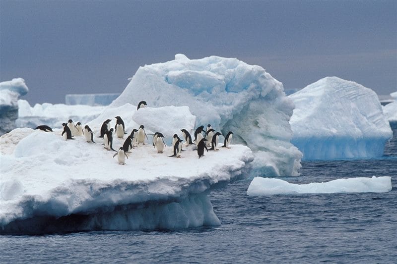 Картинки Антарктида (70 фото) #14
