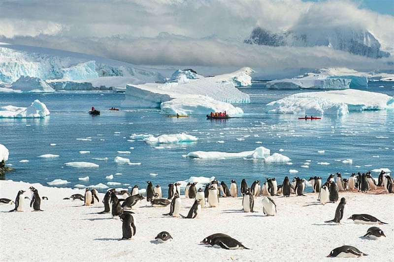 Картинки Антарктида (70 фото) #3