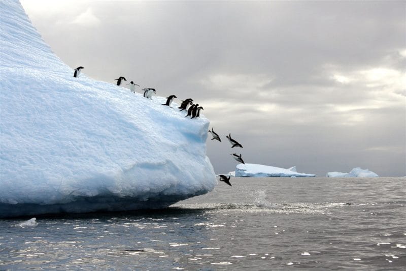 Картинки Антарктида (70 фото) #42