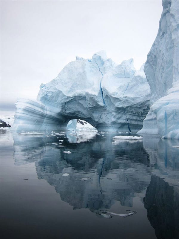 Картинки Антарктида (70 фото) #11