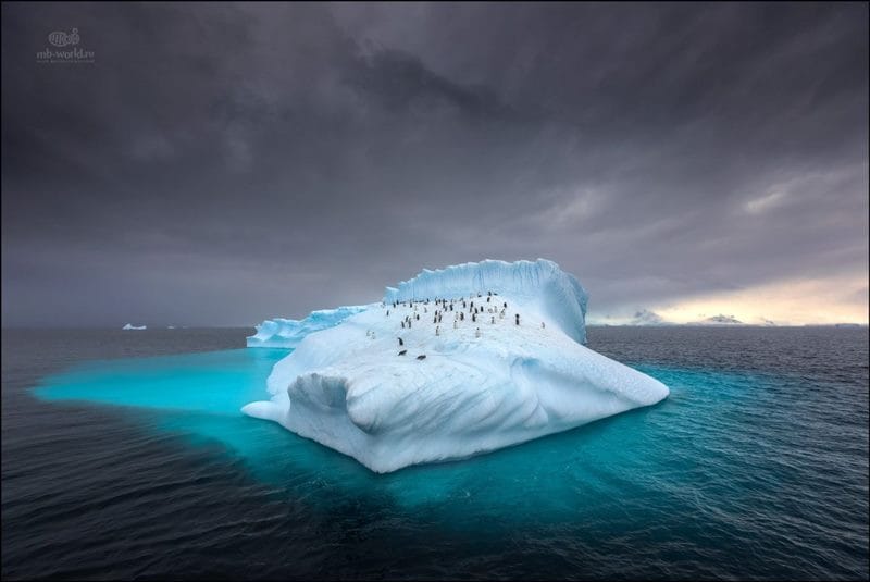 Картинки Антарктида (70 фото) #54