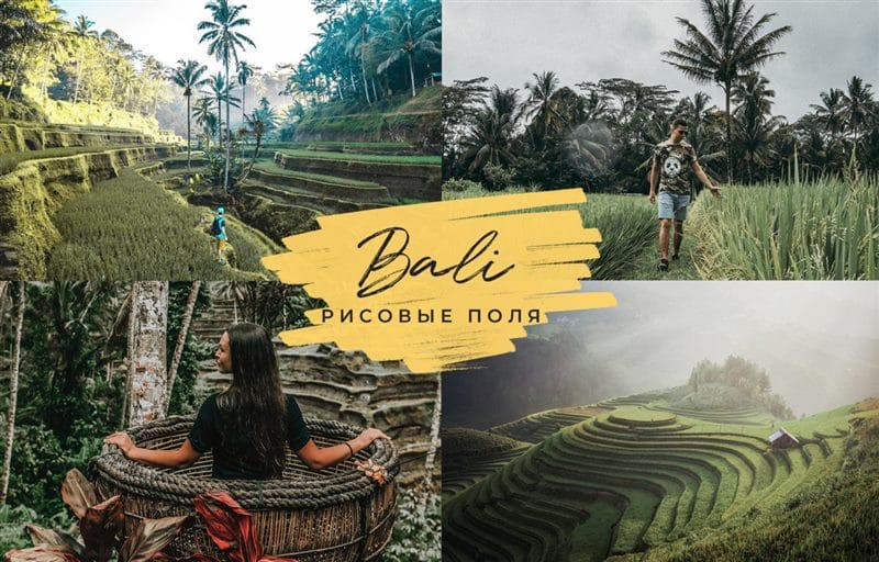 Картинки Бали (100 фото) #75