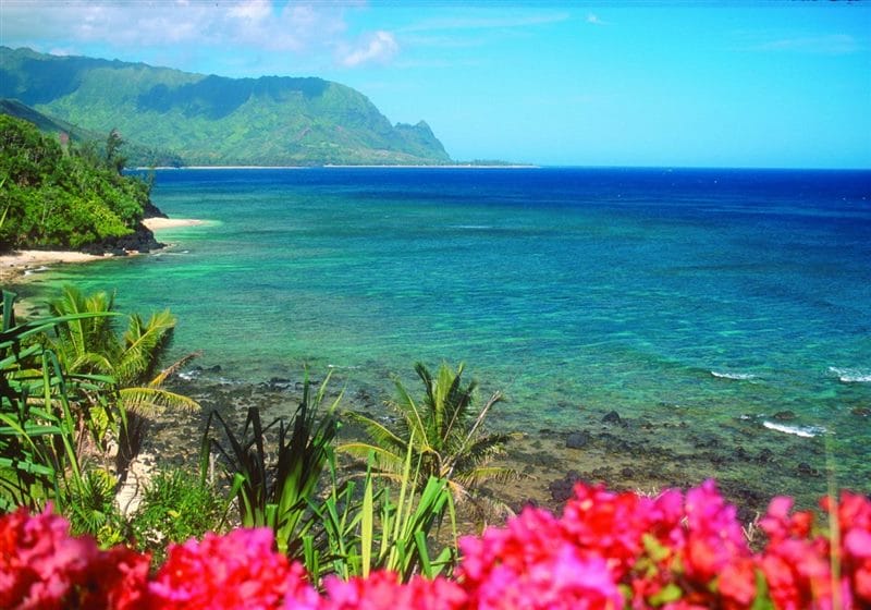 Картинки Гавайи (100 фото) #39