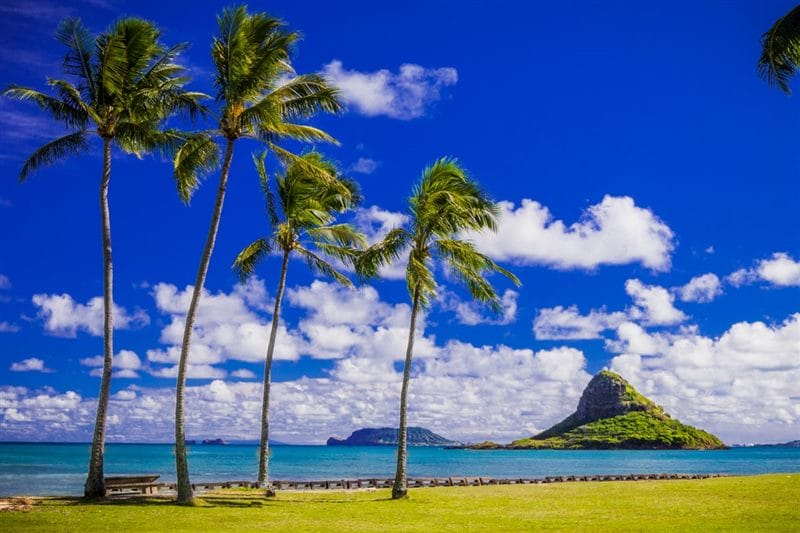 Картинки Гавайи (100 фото) #69
