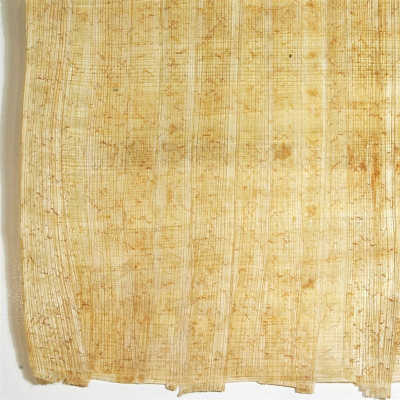 Картинки папирус (70 фото) #11