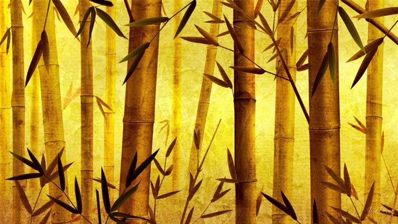 Картинки бамбук (70 фото) #12