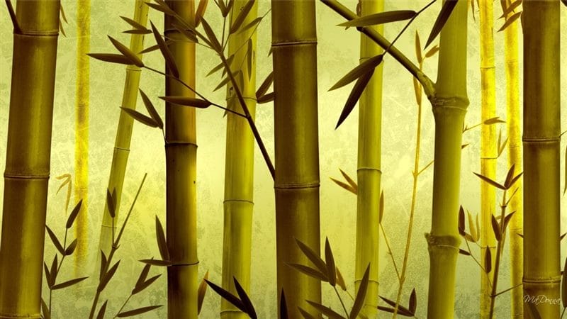 Картинки бамбук (70 фото) #19