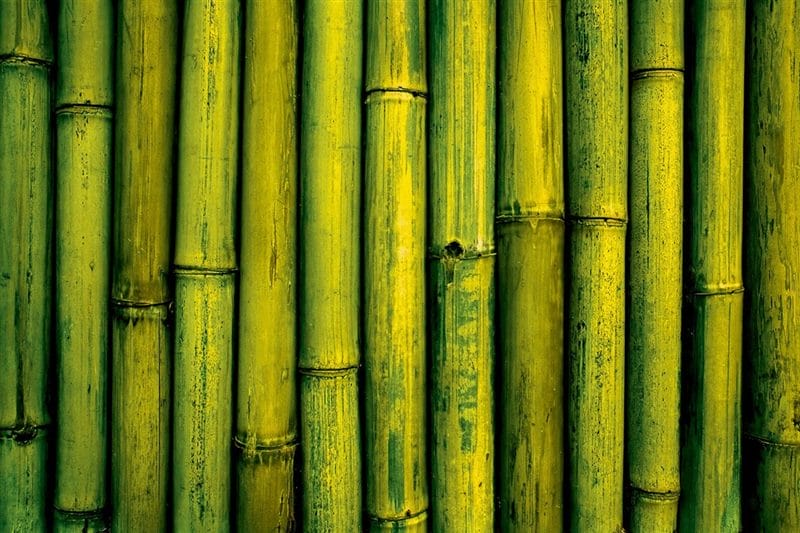 Картинки бамбук (70 фото) #5