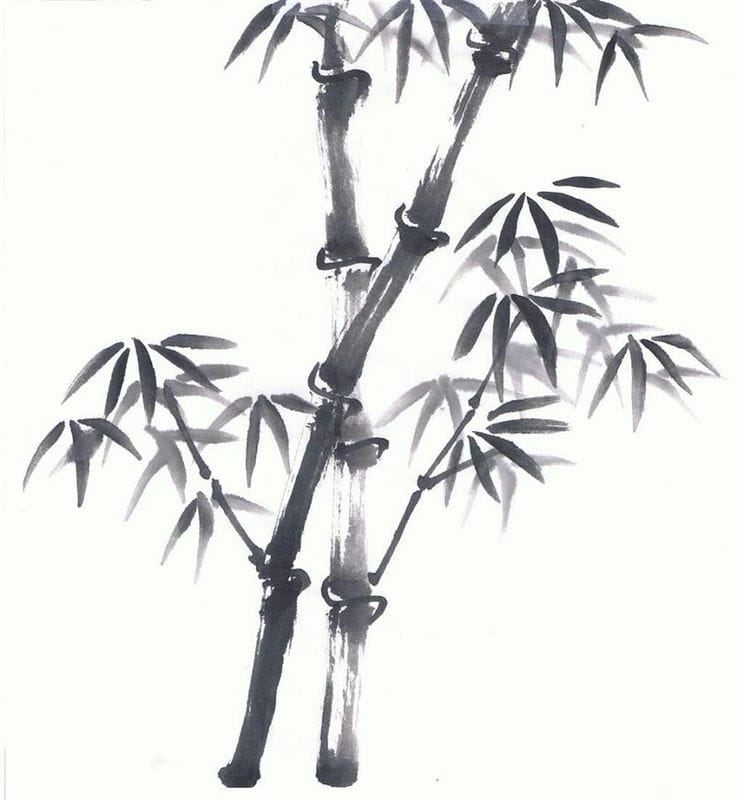 Картинки бамбук (70 фото) #42